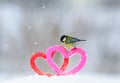 Valentine`s day card with the bird is on the border of two knitted decorative elements hearts are in the snow in the Park