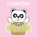 Valentine`s Day card with cute panda and a pot of flower Royalty Free Stock Photo