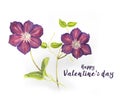 Valentine`s day card with Hand drawn purple Clematis