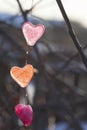 valentine\'s day card multicolored ice hearts in sunlight