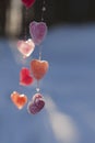 valentine\'s day card multicolored ice hearts in sunlight