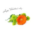 Valentine`s day card with Orange Herbera