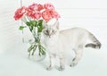 Valentine`s day cat greeting card. Bouquet of flowers roses. Mother`s day congratulations. Happy birthday template. Wedding Royalty Free Stock Photo