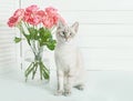 Valentine`s day cat greeting card. Bouquet of flowers roses. Mother`s day congratulations. Happy birthday template. Wedding Royalty Free Stock Photo