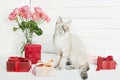 Valentine`s day cat greeting card. Bouquet of flowers roses. Mother`s day congratulations. Happy birthday template. Wedding Royalty Free Stock Photo