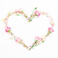 Valentine`s day composition. Heart made of pink flowers and candy confetti on white background. Flat lay, Top view. Royalty Free Stock Photo