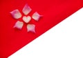 Valentine`s Day concept with heart shaped marshmallows and pink rose petals on red paper and white background