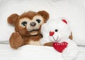 Valentine's day concept. Love. Two funny brown and white teddy bears with a red heart lie in bed on a white bed and Royalty Free Stock Photo