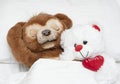 Valentine's day concept. Love. Two funny brown and white teddy bears with a red heart lie in bed on a white bed and Royalty Free Stock Photo