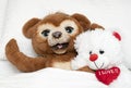 Valentine's day concept. Love. Two funny brown and white teddy bears with a red heart lie in bed on a white bed and Royalty Free Stock Photo