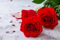 Valentine`s Day Concept. Red roses and heart decor.