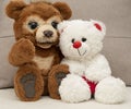 Valentine's Day concept. Two cute teddy bears in brown and white are sitting on a sofa with a red heart. Love Royalty Free Stock Photo