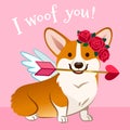 Valentine`s day corgi dog card. Cute Cupid Welsh corgi puppy in love, with wings, red rose wreath on head, holding pink heart