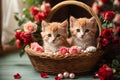 Valentine\'s day. Cute kittens inside a straw basket.