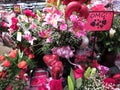 Valentine`s Day Display in February