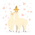 Valentine`s day flat illustration. Be my llamantine card for with cute llama alpaca and hearts