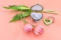 Valentine`s Day, International Women`s Day, flowers with hearts. Royalty Free Stock Photo