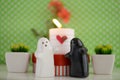 ValentineÃÂ´s Day Ghosts Wedding with Candle, Flowers and Hearth