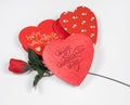 Valentine`s Day Hearts with Red Silk Rose