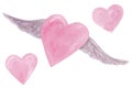 Valentine`s day hearts set. Watercolor hand painted pink flying heart with grey wings isolated on white background. Royalty Free Stock Photo