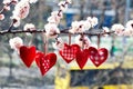 Valentine's Day love beautiful. Heart hanging on branch of tree Royalty Free Stock Photo