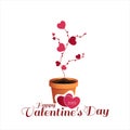 Valentine`s day. Love plant growing in beautiful flower pot on white background Royalty Free Stock Photo