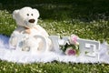 Valentine`s Day and love, plush bears for lovers and a meadow full of daisies