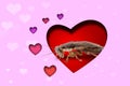 Valentine`s Day Promotion Name Roach - QUIT BUGGING ME. Cockroach on red background, view through cut out heart from pink paper