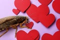 Valentine`s Day Promotion Name Roach - QUIT BUGGING ME. Cockroach and red paper hearts on lilac background, closeup