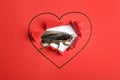Valentine`s Day Promotion Name Roach - QUIT BUGGING ME. Cockroach and torn red paper with drawn heart symbol