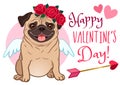 Valentine`s day pug dog pet greeting card. Cute funny pug in love, dressed as Cupid, with wings, heart arrow, red rose flowers Royalty Free Stock Photo
