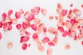 Valentine`s Day. Rose flowers petals on white background. Valentines day background. Flat lay, top view, copy space