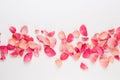 Valentine`s Day. Rose flowers petals on white background. Valentines day background. Flat lay, top view, copy space