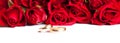 Valentine's day roses and wedding rings isolated Royalty Free Stock Photo