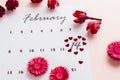 Valentine`s Day. Small red hearts highlight the date February 14 on the calendar sheet and dry flowers on a pink background Royalty Free Stock Photo