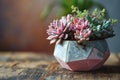 Valentine's day succulent arrangement in a geometric pot with blush and serenity blue tones Royalty Free Stock Photo