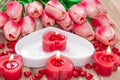 Valentine`s Day Tulips, a heart-shaped plate and a heart-shaped candle. Royalty Free Stock Photo