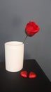 Valentine`s Day two red hearts, red rose in white vase. Gray bacground.