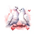 Valentine's Day Wedding White Pigeons watercolor vector