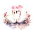 Valentine's Day Wedding White Swans watercolor vector Royalty Free Stock Photo