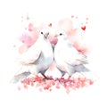 Valentine's Day Wedding White Swans watercolor vector Royalty Free Stock Photo