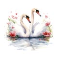 Valentine's Day Wedding White Swans watercolor vector Royalty Free Stock Photo