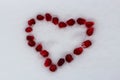 Valentine`s heart shape made by pomegranate seeds on white snow.