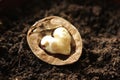 Valentine s walnut Royalty Free Stock Photo