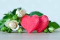 Valentine's or wedding concept Royalty Free Stock Photo