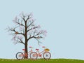 Valentine tree with Kingfisher bird standing on branches,bicycle, pink heart leaves falling on the ground. Single Love tree on