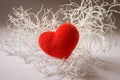 Valentine white branch with heart