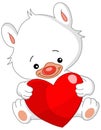 Valentine white teddy bear Royalty Free Stock Photo