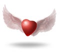 Valentine wings