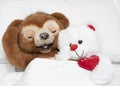 Valentine's day concept. Love. Two funny brown and white teddy bears with a red heart lie in bed on a white bed and Royalty Free Stock Photo